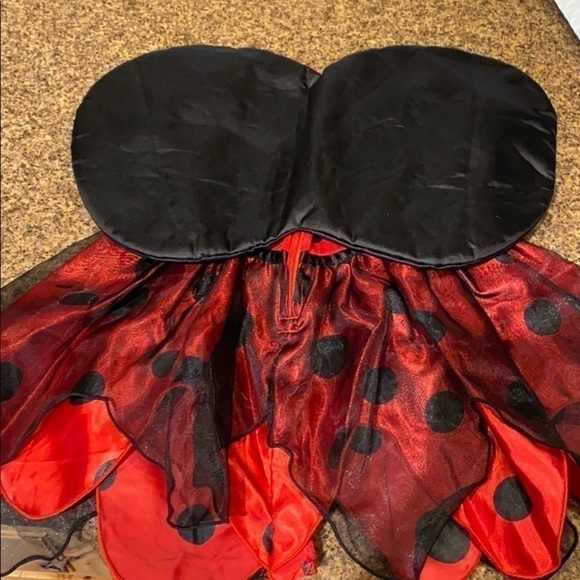 Lady bug custom - Picture 3 of 4